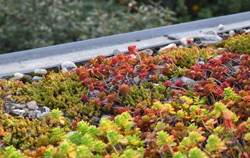 the cost of Banknock green roof installation