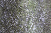 Banknock fibreglass roof work